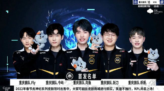 整支球队的